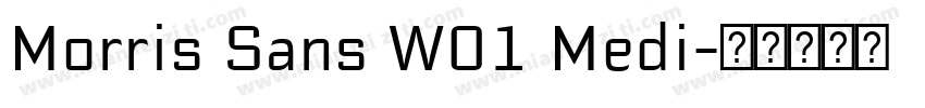 Morris Sans W01 Medi字体转换